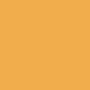 Dutch Orange No.W76 GEEN SAMPLES MEER VERKRIJGBAAR