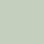 Palm CC4 - Afbeelding 2