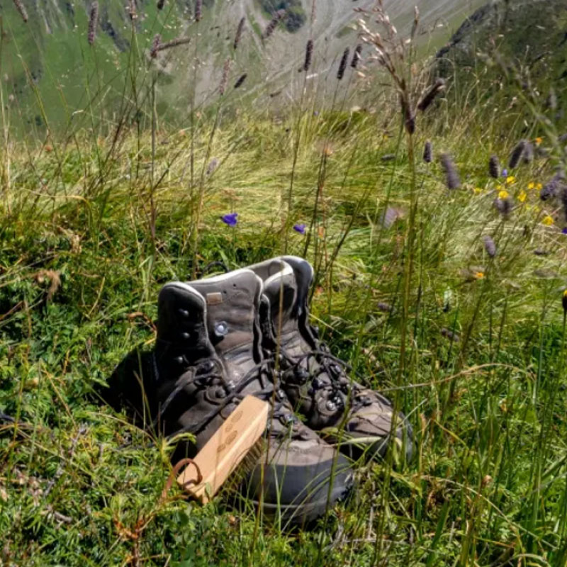 Wandelschoenenborstel - Afbeelding 5